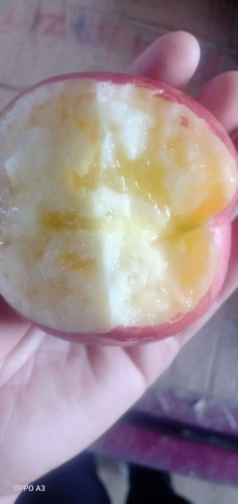 甘肃会宁高原丑苹果