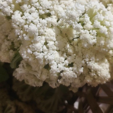 花菜，纯绿色花菜