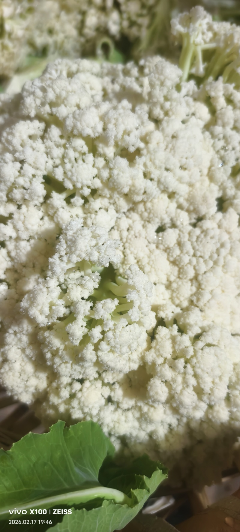 花菜，纯绿色花菜