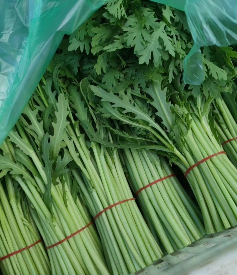 【平台力推】产地直发【诚信经营】保质保量【量大从优】茼蒿