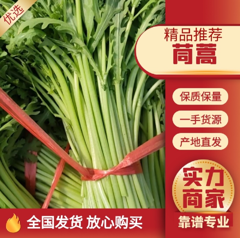 【平台力推】产地直发【诚信经营】保质保量【量大从优】茼蒿