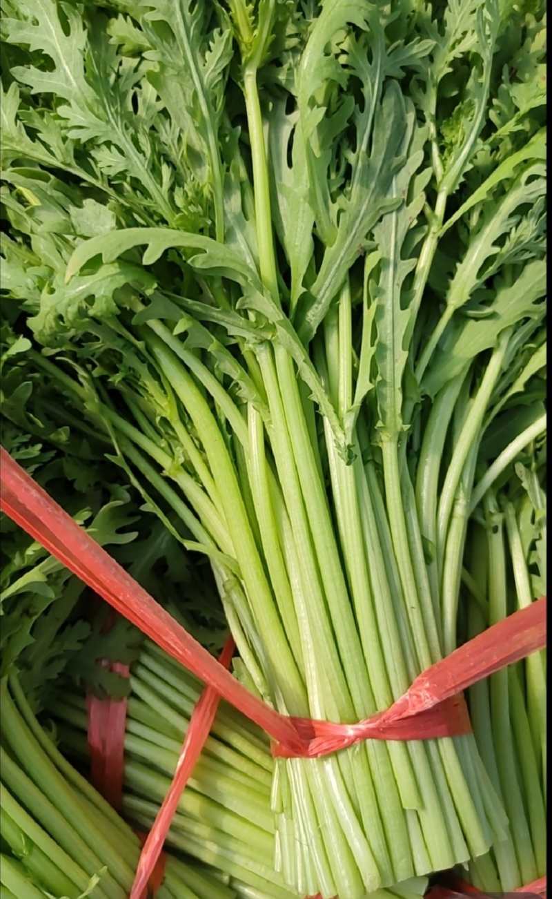 【平台力推】产地直发【诚信经营】保质保量【量大从优】茼蒿
