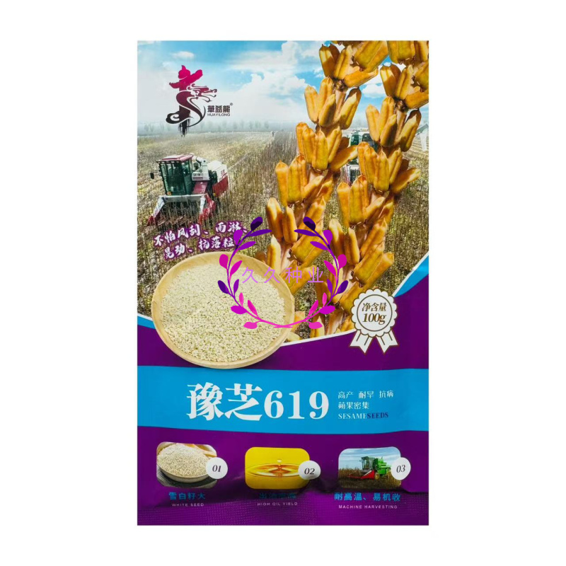 豫芝619白芝麻种子不怕风刮不怕雨可以机收的芝麻种子