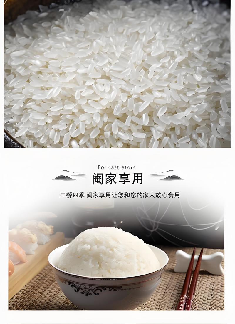 东北长粒稻花香米新米300吨源头供应支持代发