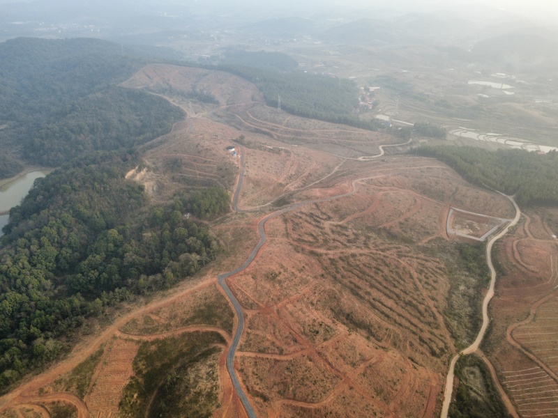 油茶产业基地600亩免费出租