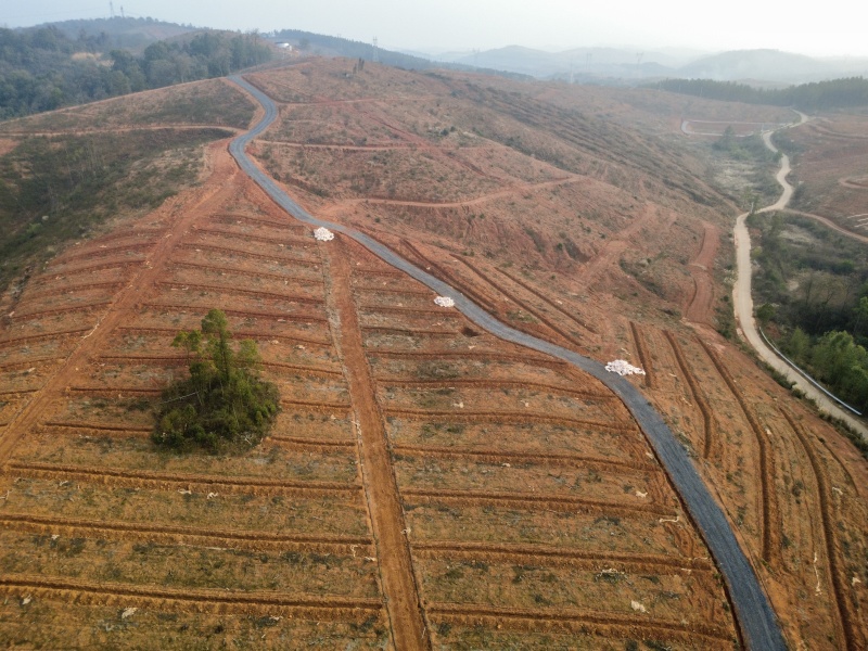 油茶产业基地600亩免费出租