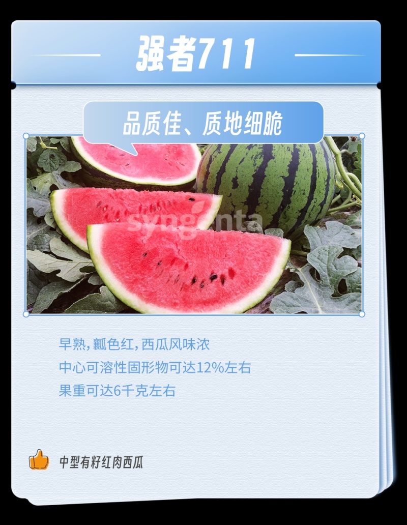 早熟711麒麟西瓜上市时间四月中旬大量上市寻求客商采购