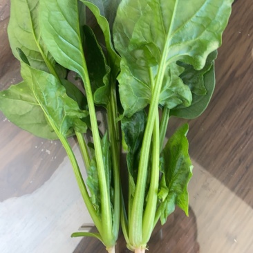 菠菜