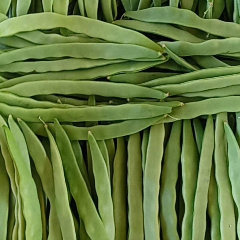 精品扁豆