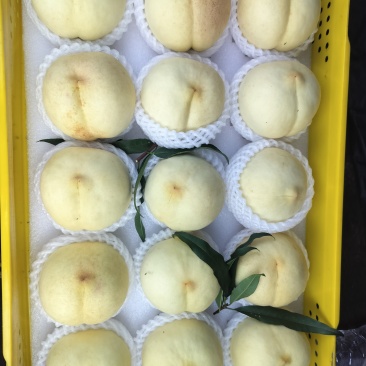黄金密桃子