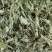 木豆枝叶新货（大基地供应）