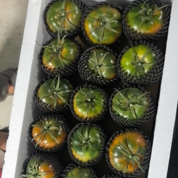 草莓西红柿