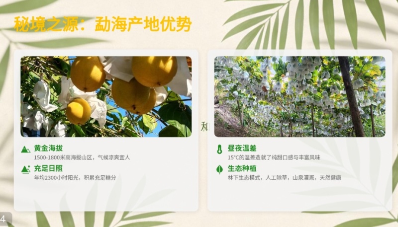 热情果