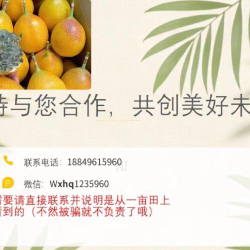 热情果