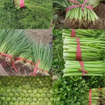 小葱菠菜