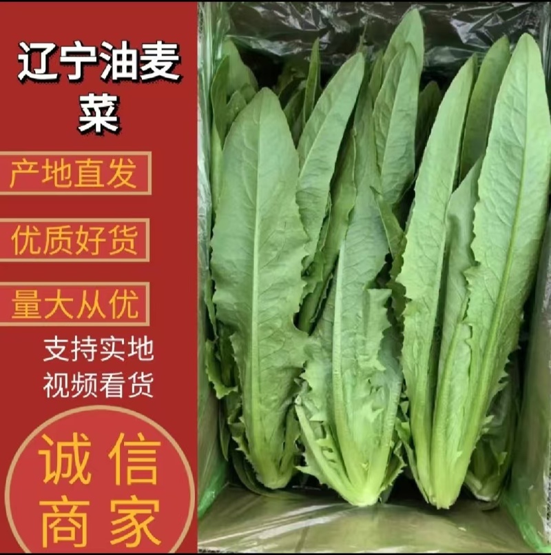 【实力商家】产地直发【保质保量】诚信经营【量大从优】油麦