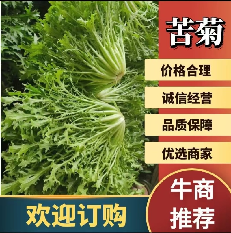 【实力商家】产地直发【质量上乘】诚信经营【保质保量】苦苣
