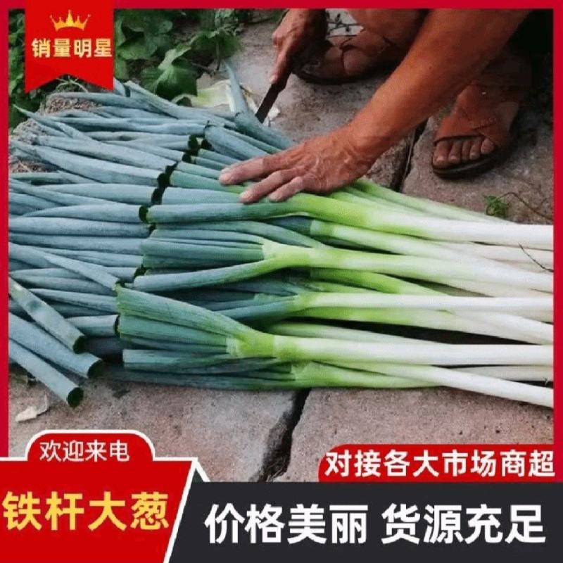 【实力商家】产地直发【诚信经营】质量上乘【全国发货】小葱