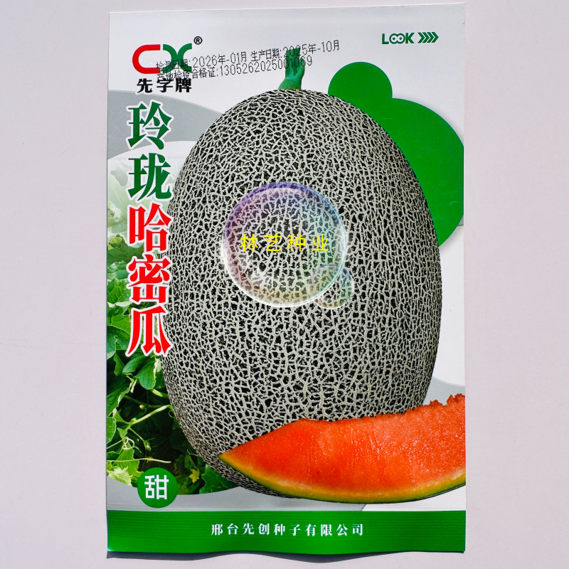 玲珑哈密瓜种子甜瓜蜜甜酥脆厚皮香瓜高产抗病农家春夏季水果