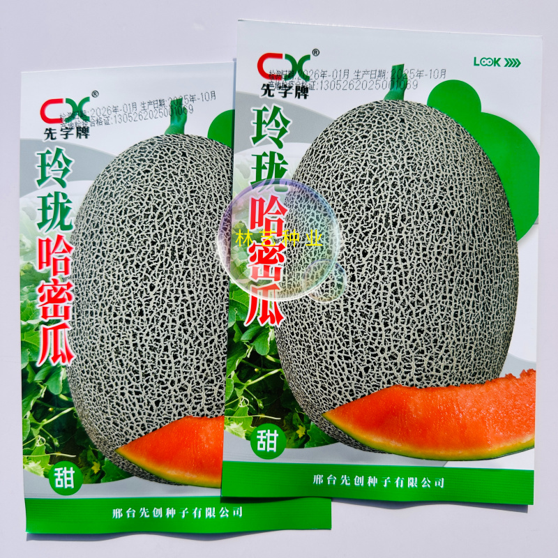 玲珑哈密瓜种子甜瓜蜜甜酥脆厚皮香瓜高产抗病农家春夏季水果