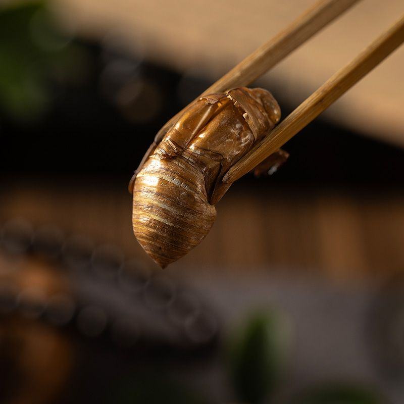 蝉蜕中药材正品野生蝉脱金蝉衣金蝉壳蝉皮蝉壳蝉衣知了皮知了