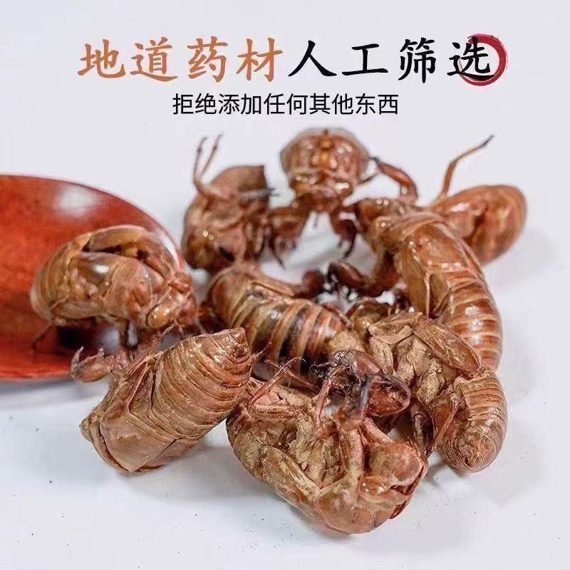 蝉蜕中药材正品野生蝉脱金蝉衣金蝉壳蝉皮蝉壳蝉衣知了皮知了