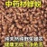 蝉蜕中药材正品野生蝉脱金蝉衣金蝉壳蝉皮蝉壳蝉衣知了皮知了