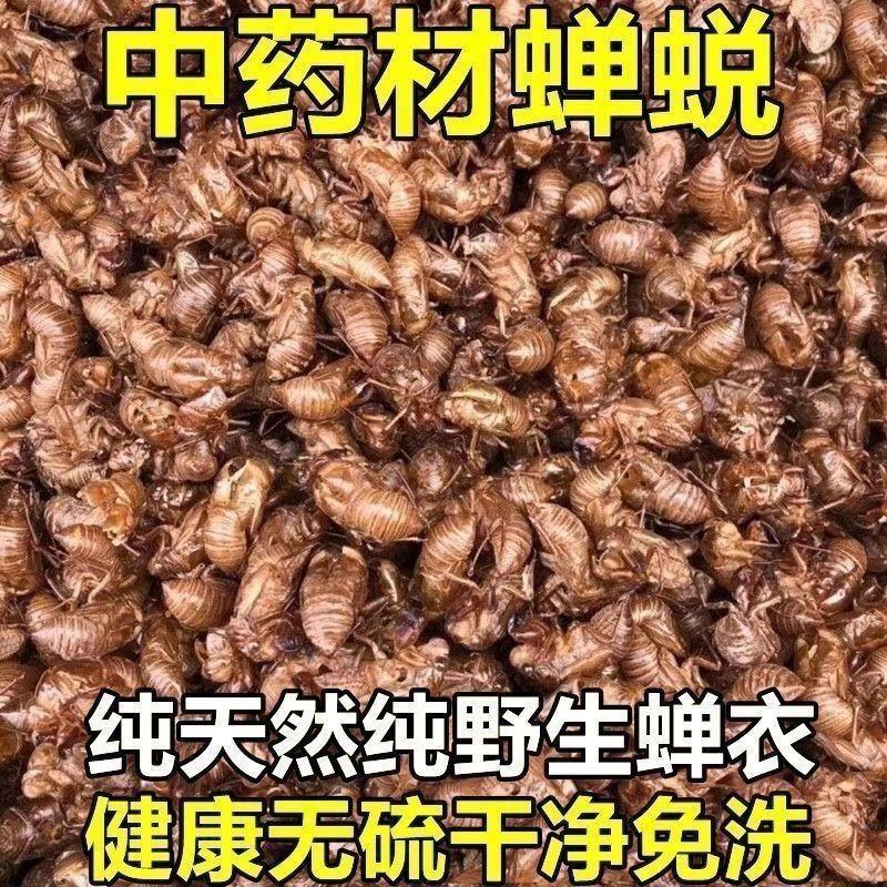 蝉蜕中药材正品野生蝉脱金蝉衣金蝉壳蝉皮蝉壳蝉衣知了皮知了