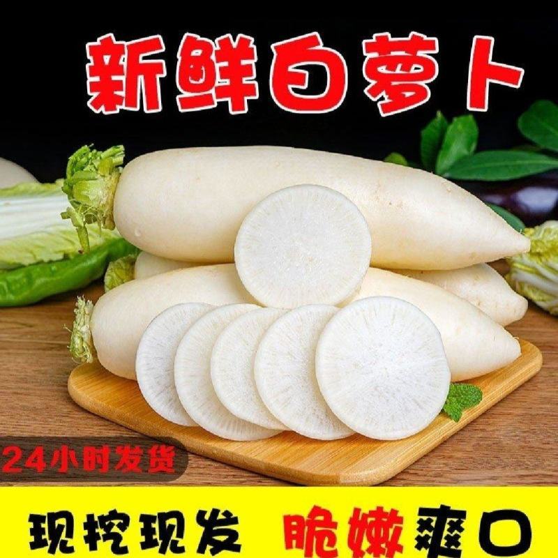【实力商家】产地直发【超市直采】诚信经营【保质保量】白萝