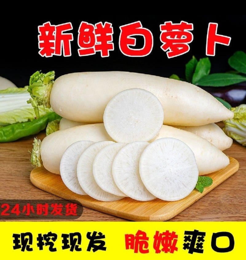 【实力商家】产地直发【超市直采】诚信经营【保质保量】白萝