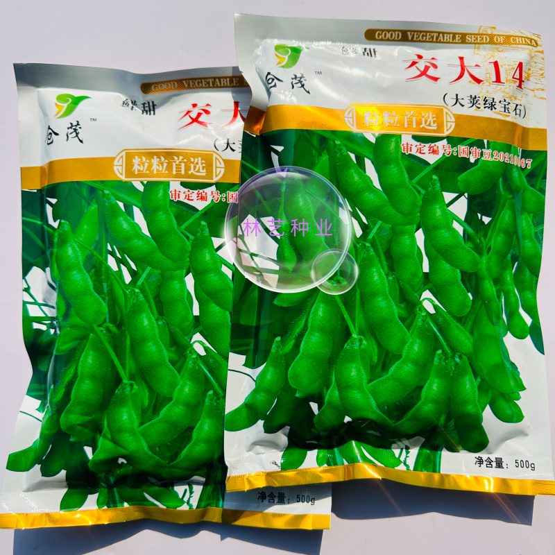 交大14大荚绿宝石毛豆种子原装包邮鲜食春大豆种子中晚熟
