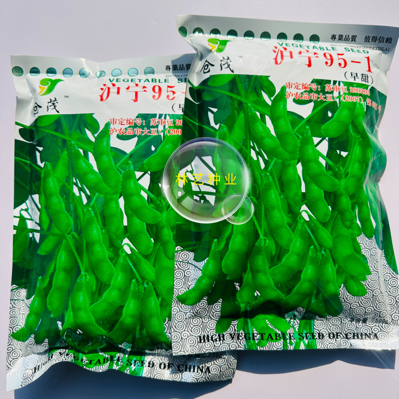 沪宁95-1早熟毛豆种子结荚率高抗倒性强籽粒饱满原装正品