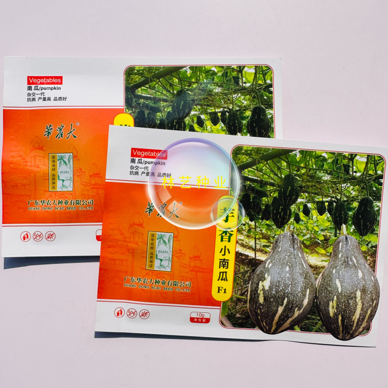 华农大芋香小南瓜种子瓜榄核形肉质金黄有芋香味口感好抗病
