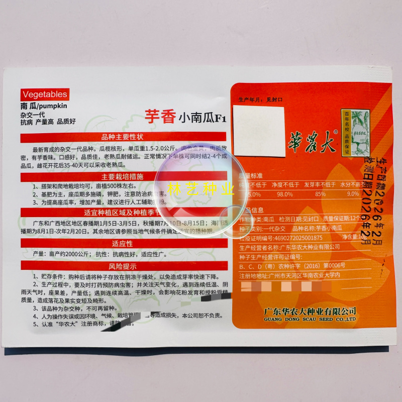 华农大芋香小南瓜种子瓜榄核形肉质金黄有芋香味口感好抗病