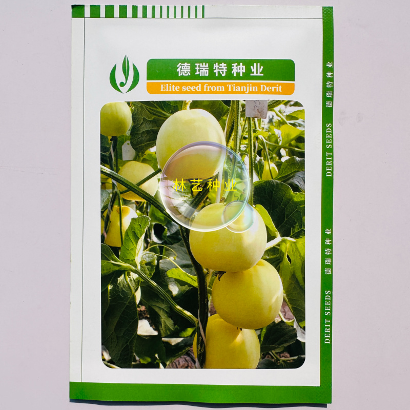 博洋201黄皮甜瓜种子薄皮甜脆早熟高产抗病商品性佳