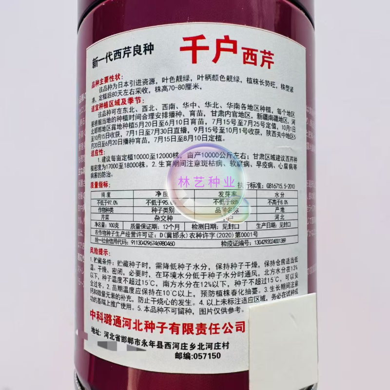 千户西芹种子叶柄颜色靓绿高产抗病农家菜园基地阳台种植芹菜