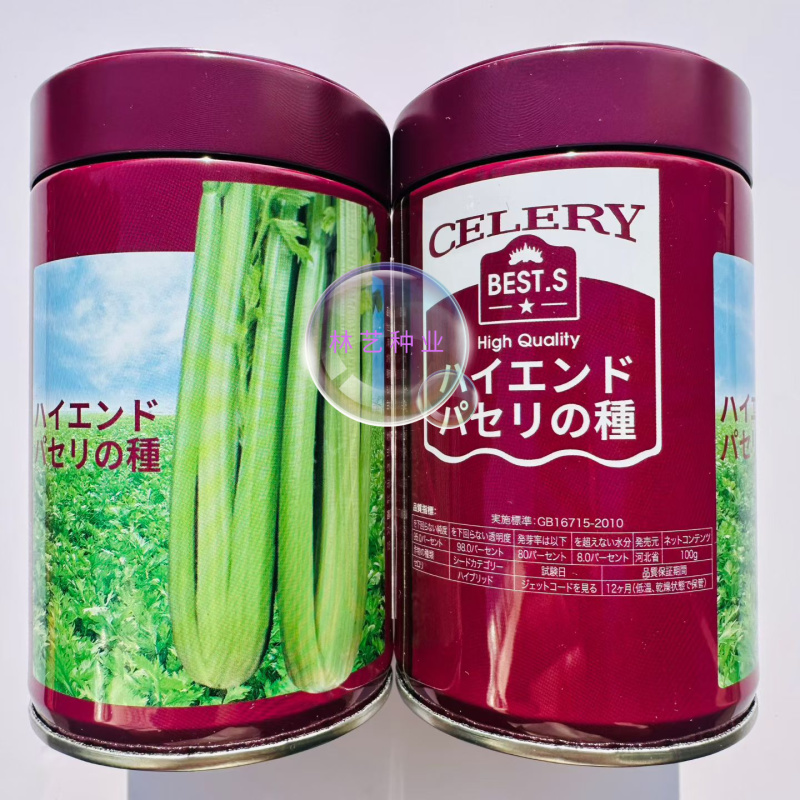 千户西芹种子叶柄颜色靓绿高产抗病农家菜园基地阳台种植芹菜