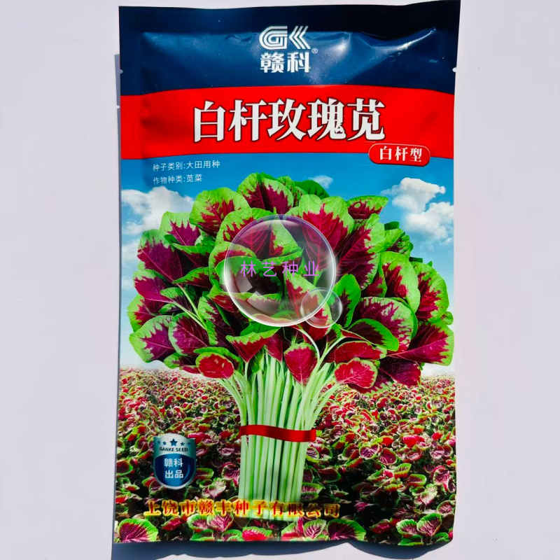 白杆玫瑰圆叶苋菜种子早中熟中心红叶缘绿叶柄白色口感清甜纤