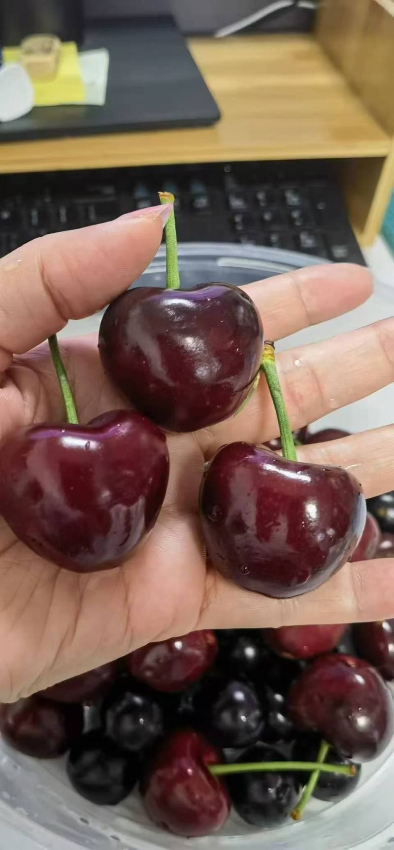 大连美早樱桃，对接批发市场，一件代发，价格可议