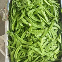 云南精品荚豆万亩基地产地直发货源充足