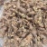 新鲜天葵子新鲜天葵子野外现挖紫背天葵种苗金耗子屎千年老鼠