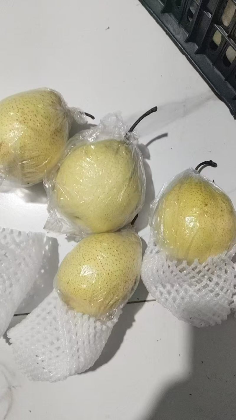 鸭梨红香酥特价