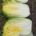 黄心大白菜