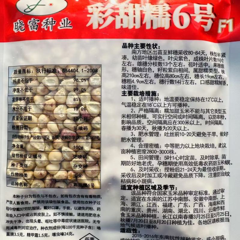 晓富彩甜糯6号玉米种子春秋基地鲜食玉米种籽彩甜糯玉米