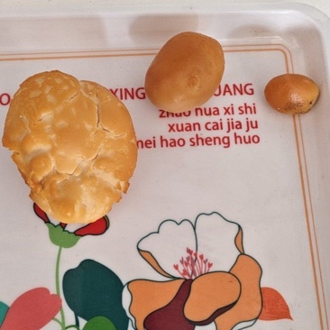 自己家养了几年的笨鸡。