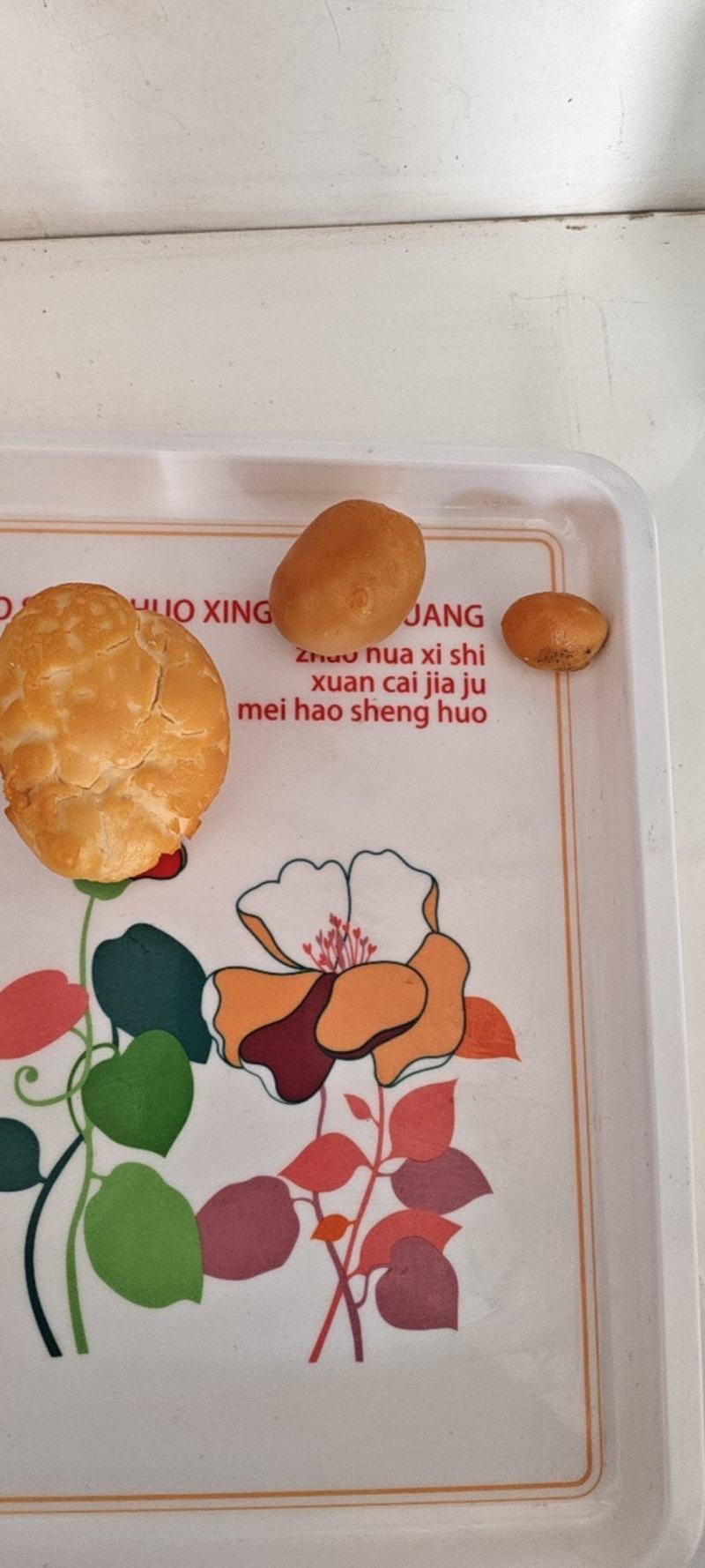 自己家养了几年的笨鸡。