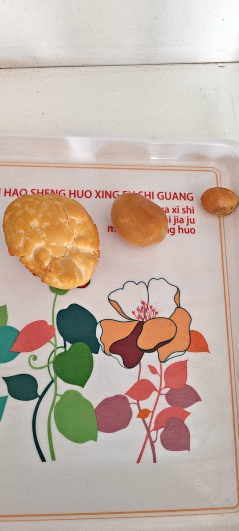 自己家养了几年的笨鸡。