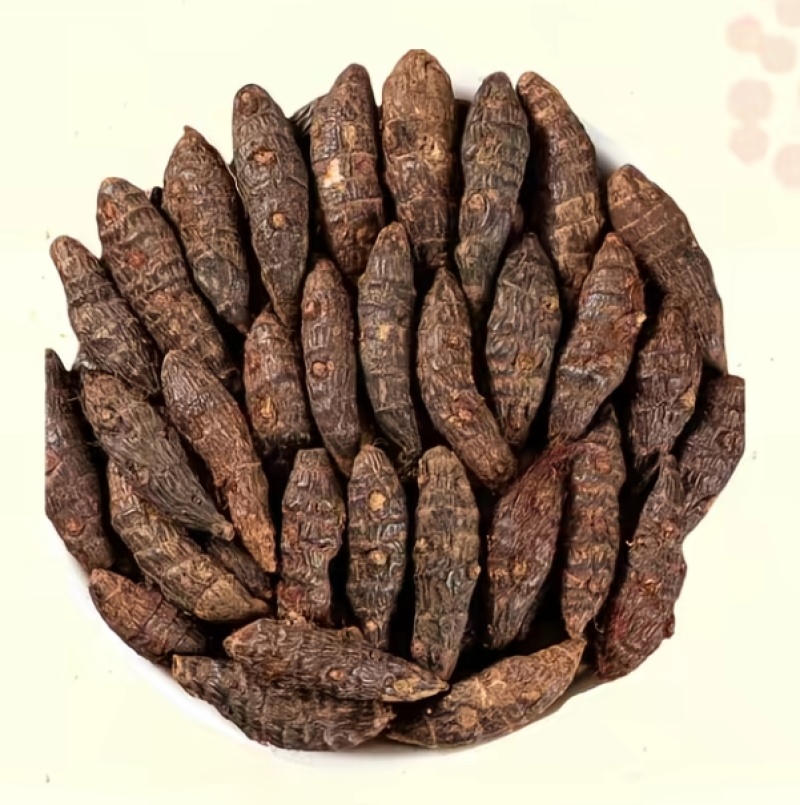 香附子