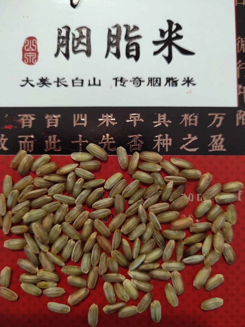 山泉胭脂米，产自长白山北纬42度黄金水稻带。