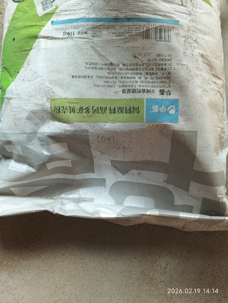 土鹅蛋非洲雁蛋